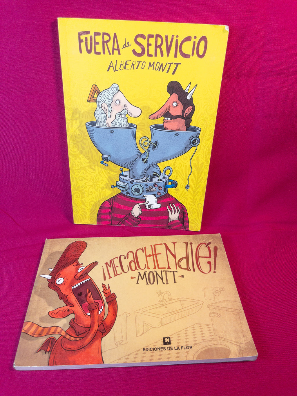 Libros Alberto Montt
