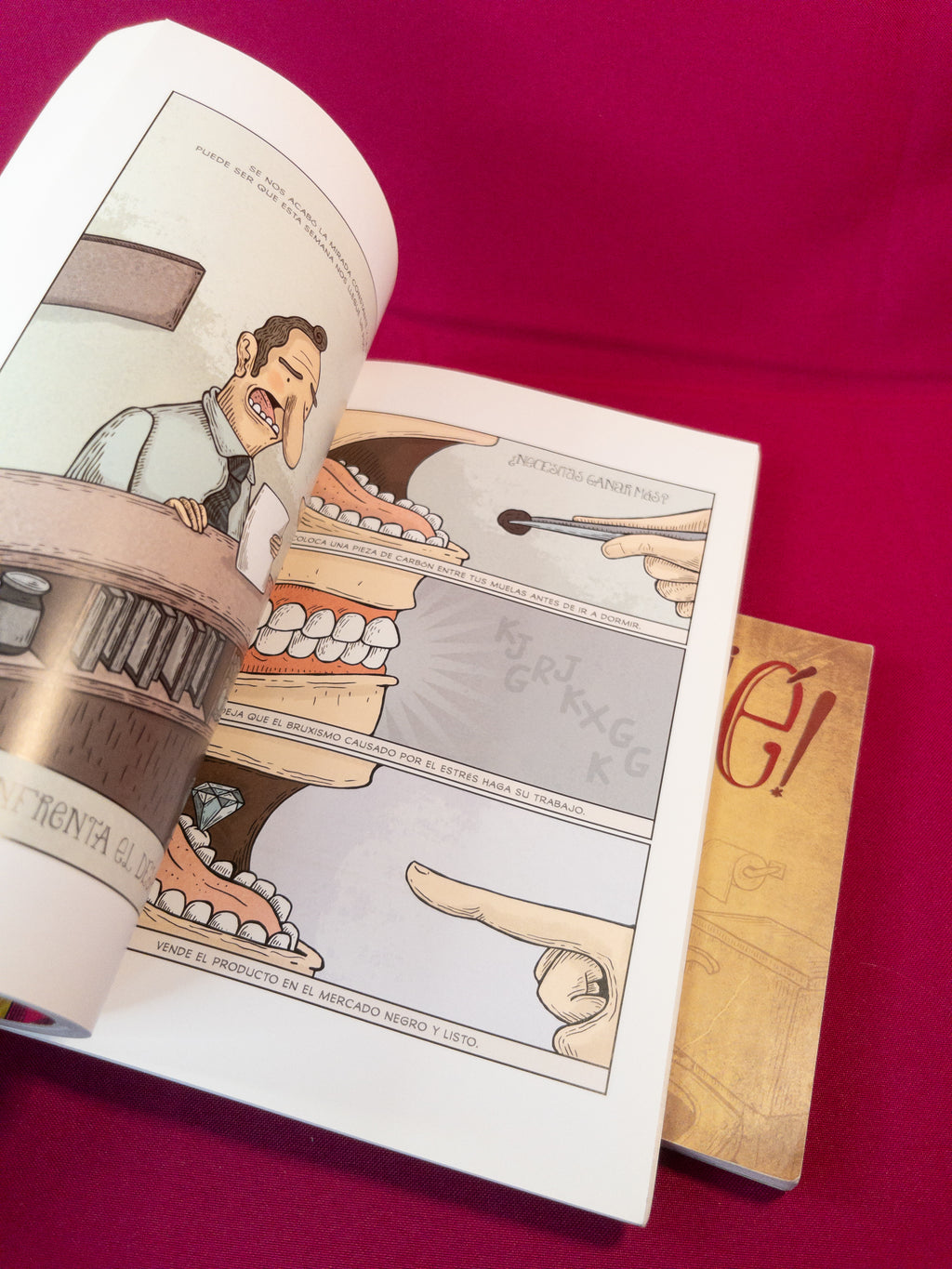 Libros Alberto Montt