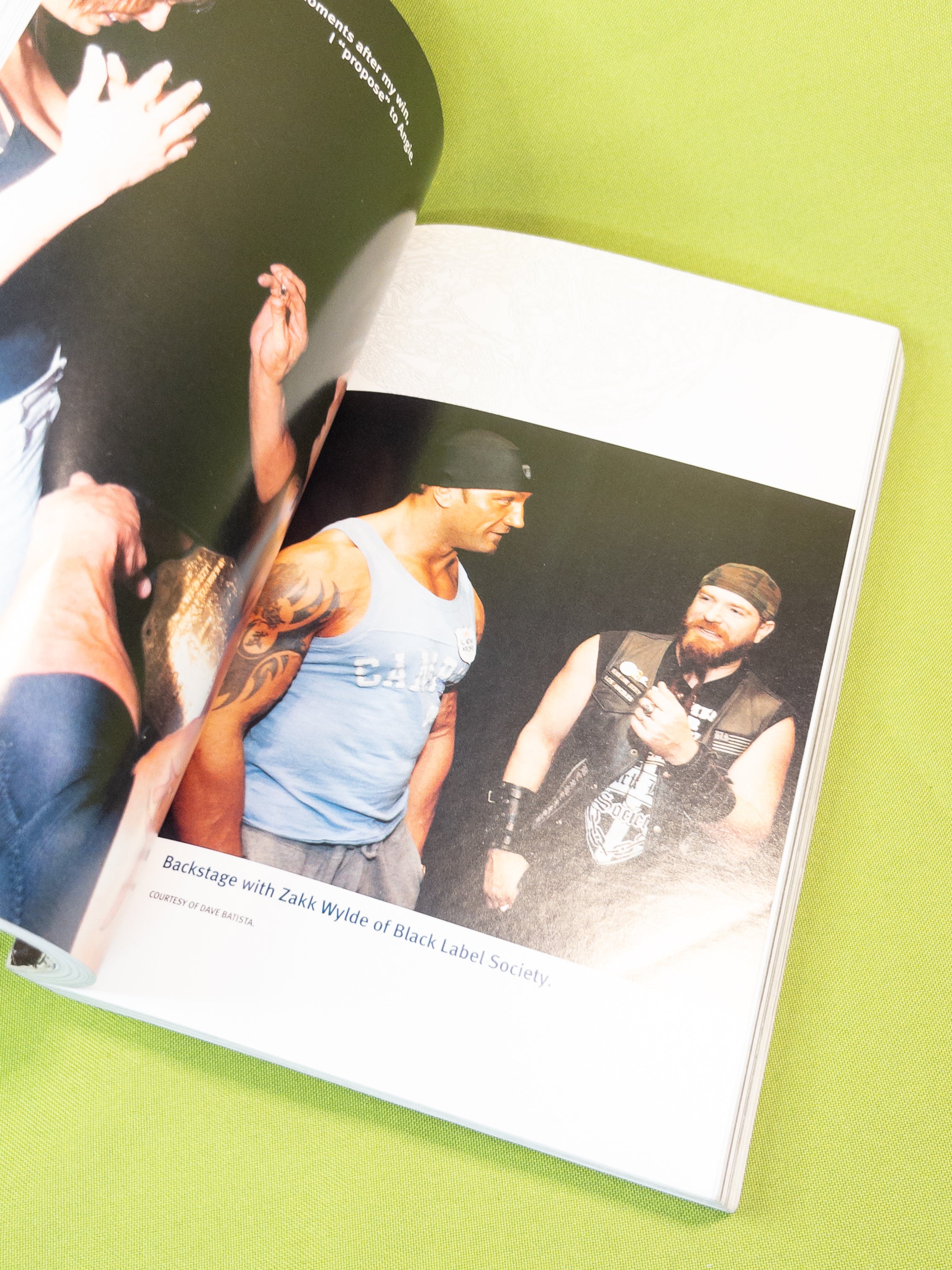 Libro WWE Batista unleashed