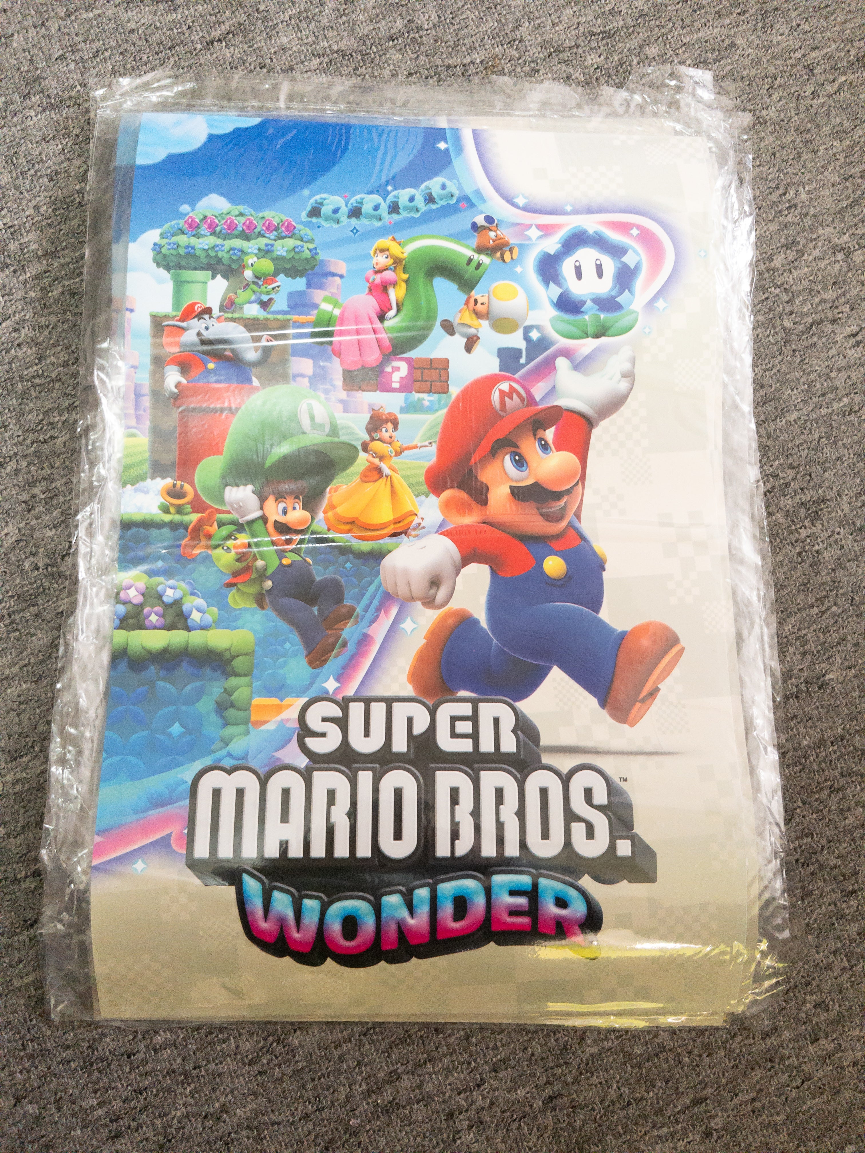 Poster dobles súper Mario bros wonder