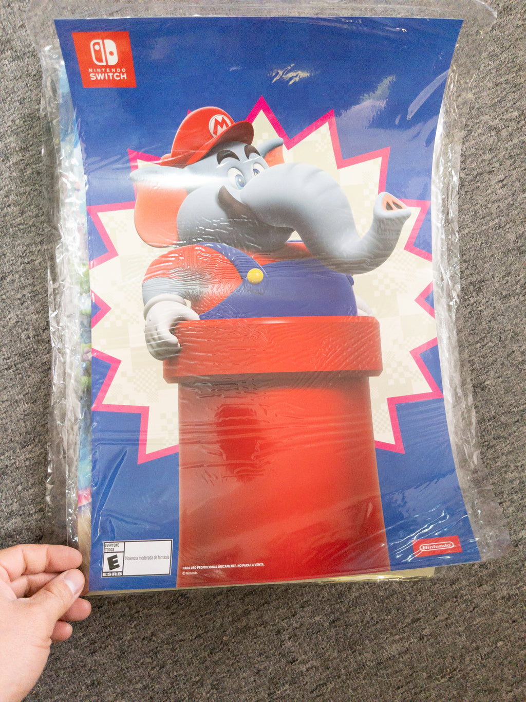 Poster dobles súper Mario bros wonder